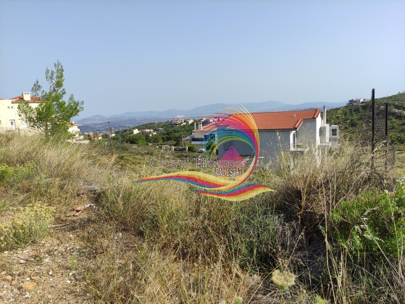 property-img