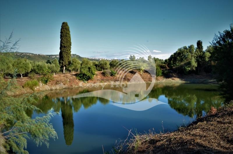 property-img