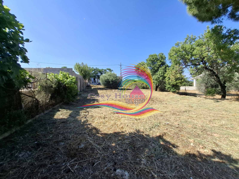 property-img
